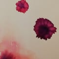 littlepoppyseed @littlepoppyseed profile image
