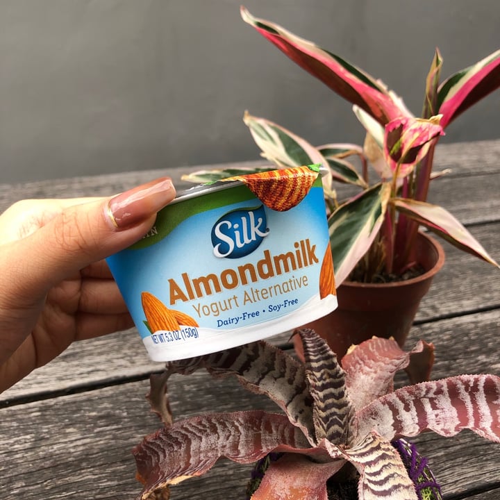 photo of Silk Plain Almondmilk Yogurt Alternative shared by @arxuann on  26 Sep 2020 - review