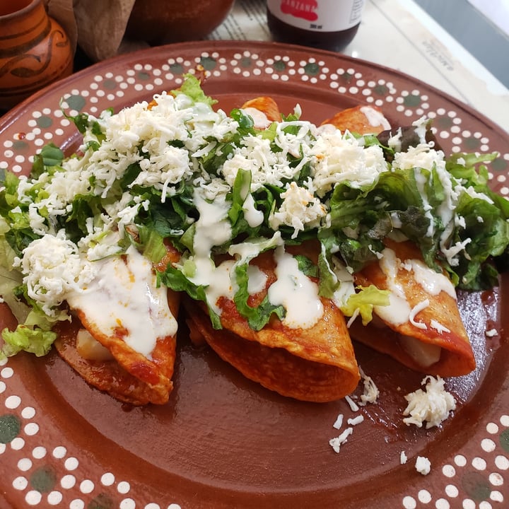 photo of Mictlan Antojitos Veganos Chiltlaxcalli enchiladas en salsa roja rellenas de papa y zanahoria shared by @chepsita on  01 May 2022 - review