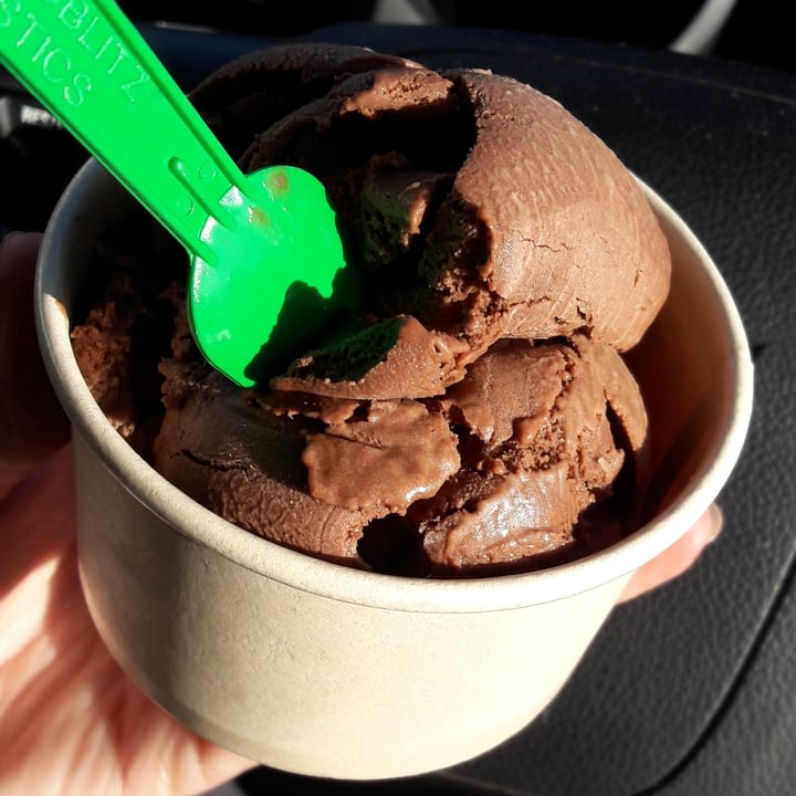 photo of Kristen's Kick-Ass Ice Cream - Noordhoek Farm Village Dairy-free Coconut Fudge shared by @deepsouthvegan on  03 Jun 2020 - review