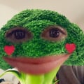 carotinapretty @carotinapretty profile image
