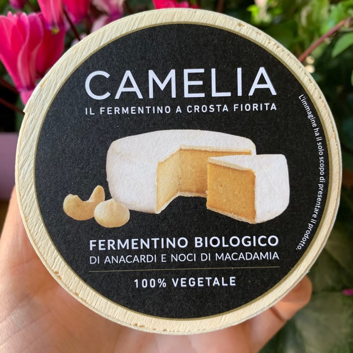 photo of Camelia Fermentino Biologico Anacardi E Noci Di Macadamia shared by @v3ganwitch on  13 Apr 2021 - review