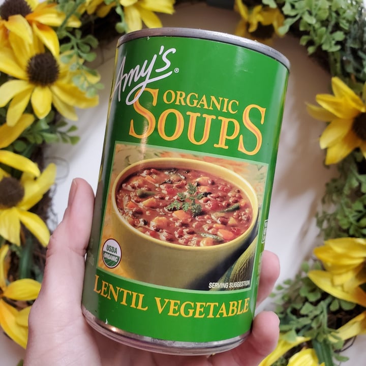 photo of Amy’s Lentil Vegetable Soup shared by @mewinabubble on  29 Mar 2022 - review