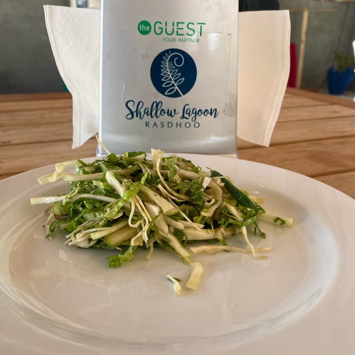 photo of Shallow Lagoon Restaurant Green salad shared by @marionayogacadaques on  05 Feb 2022 - review