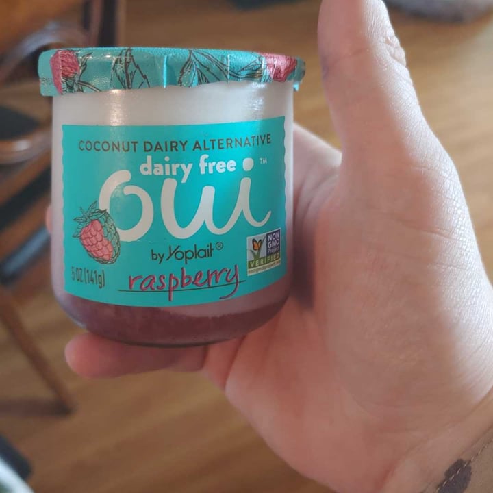 Yoplait Dairy Free Raspberry Yogurt Review abillion