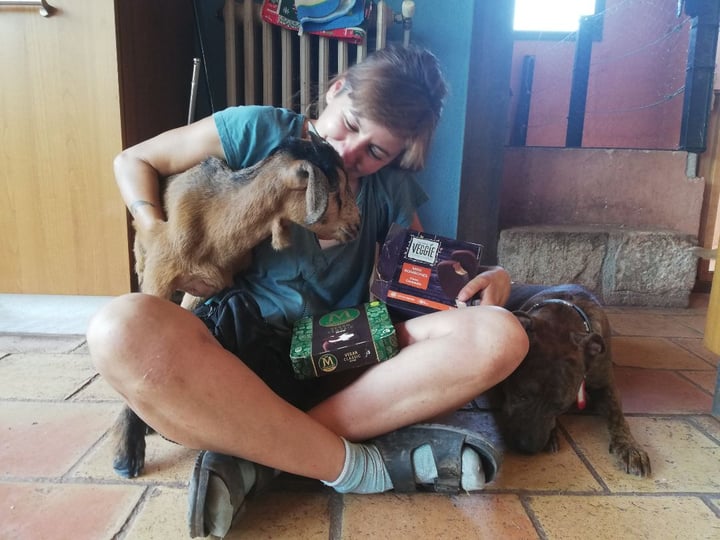 review photo of Magnum Dairy Free Classic shared by @elenatova on 13 Jul 2019 - review