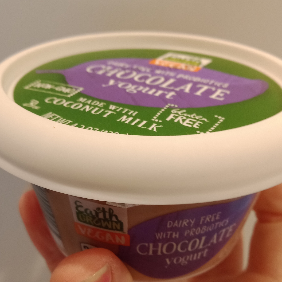 Earth Grown Dairy Free Chocolate Yogurt Reviews abillion