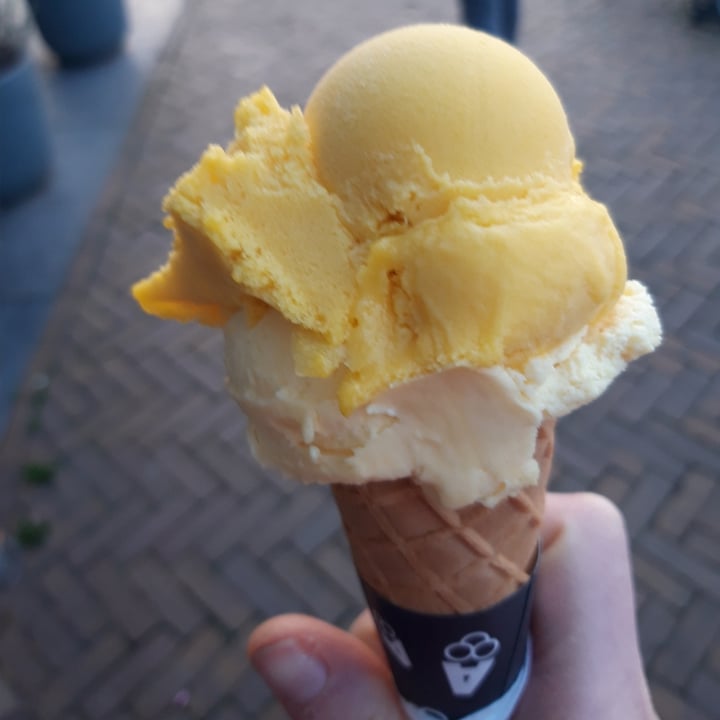 review photo of Ice cream Luciano Heemstede - Aerdenhout Ice Cream 100% Plantbased shared by @chiariz94 on 12 Apr 2022 - review