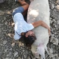 agusmigliano @agusmigliano profile image