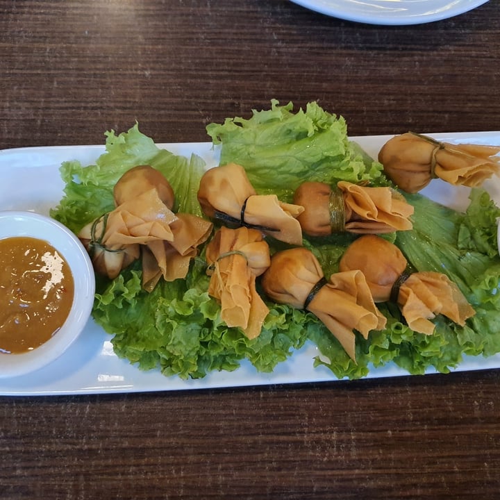 photo of Thai Wok Restaurant Veg Crispy Pockets shared by @frapperya on  28 Dec 2021 - review