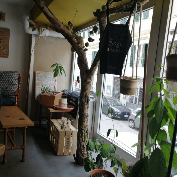review photo of Zazie Wrap Avocado shared by @sgiuli on 13 Jun 2022 - review