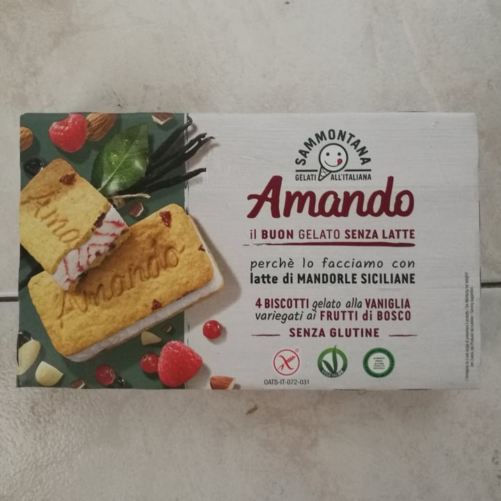 photo of Sammontana Biscotto gelato con frutti di bosco shared by @monysotgiu on  18 May 2022 - review