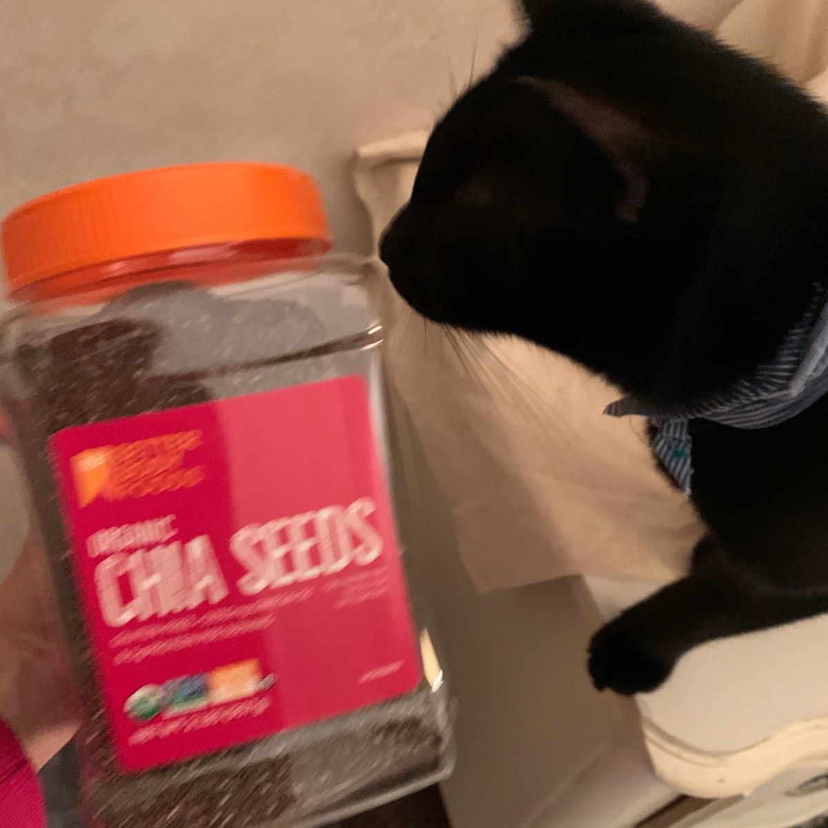 Better Body Foods Chia Seeds Reviews abillion