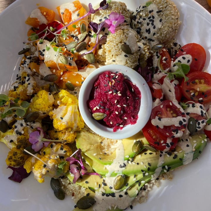 review photo of Wildsprout Buddha falafel bowl shared by @jacquivzyl on 12 Apr 2022 - review