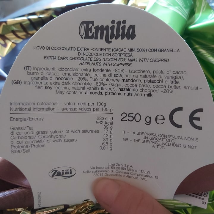 photo of Emilia Zaini Uovo di cioccolato fondente e granella di nocciole shared by @sellew on  17 Apr 2022 - review
