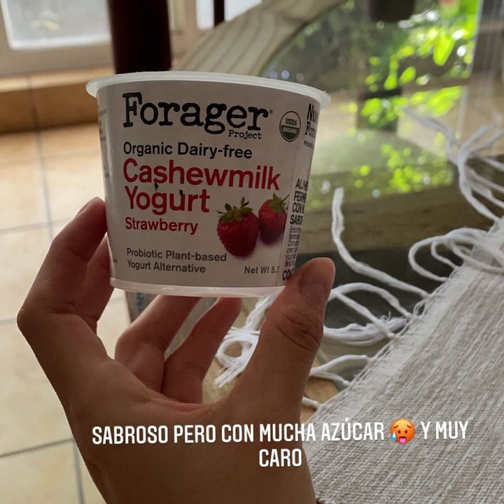 photo of Forager Project Organic Dairy-free Cashewmilk Yogurt Strawberry shared by @sofreylom on  31 Jul 2021 - review