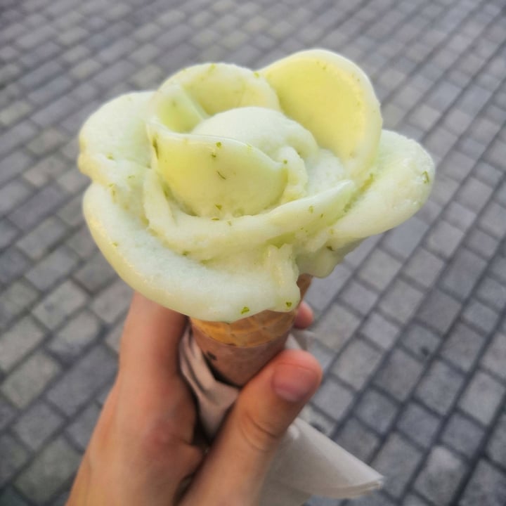 review photo of Amorino Clermont-ferrand Sorbet citron vert & basilic shared by @lord-of-snob on 21 Jun 2022 - review