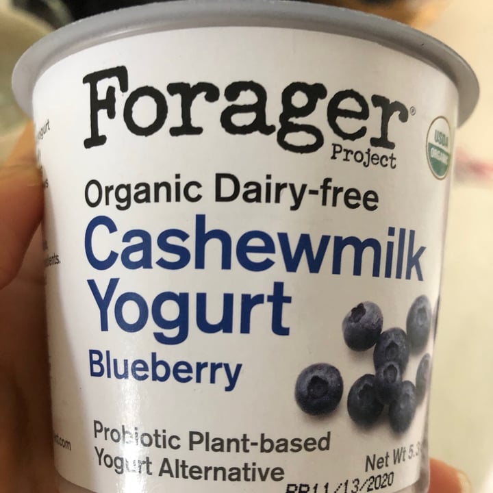 review photo of Forager Project Blueberry Cashewmilk Yogurt shared by @laurasainz on 13 Nov 2020 - review