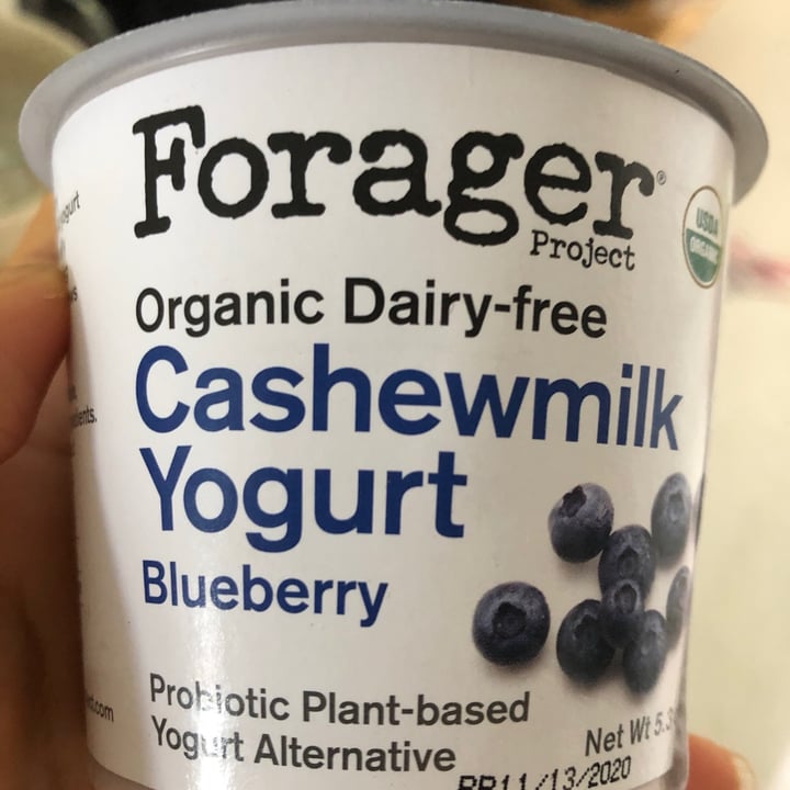 photo of Forager Project Blueberry Cashewmilk Yogurt shared by @laurasainz on  13 Nov 2020 - review