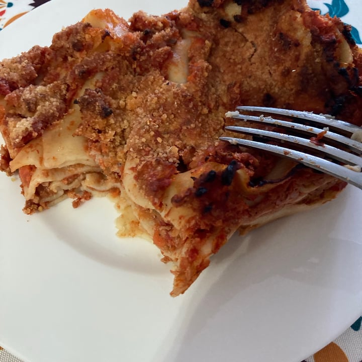 photo of Verdesalvia Bio Lasagna Vegana shared by @viviana23 on  05 Jul 2021 - review