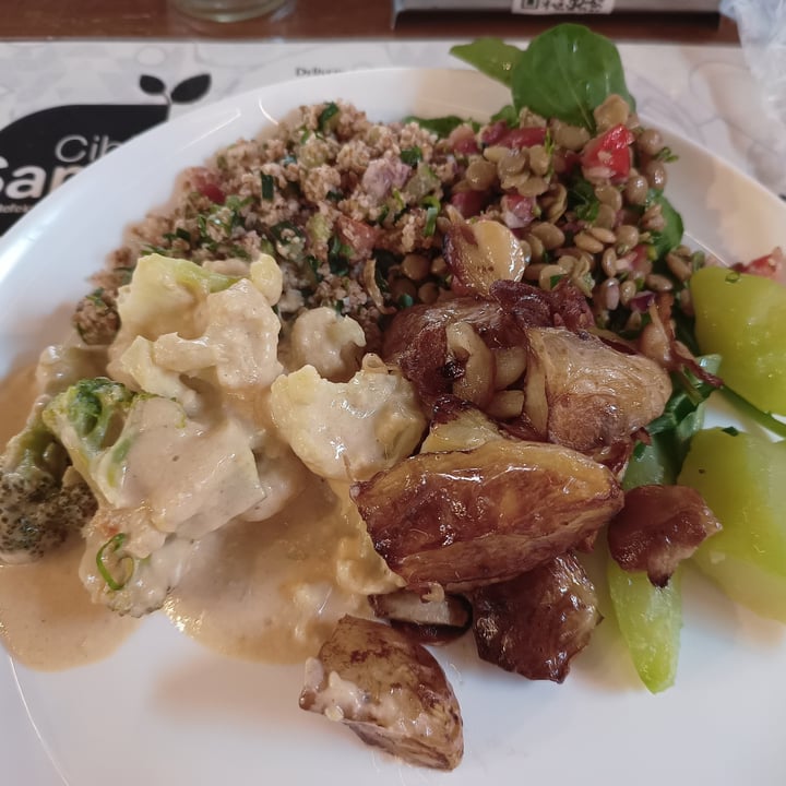 photo of Restaurante Cibi Sana Self Service Vegano shared by @lucasprimon on  14 Dec 2022 - review