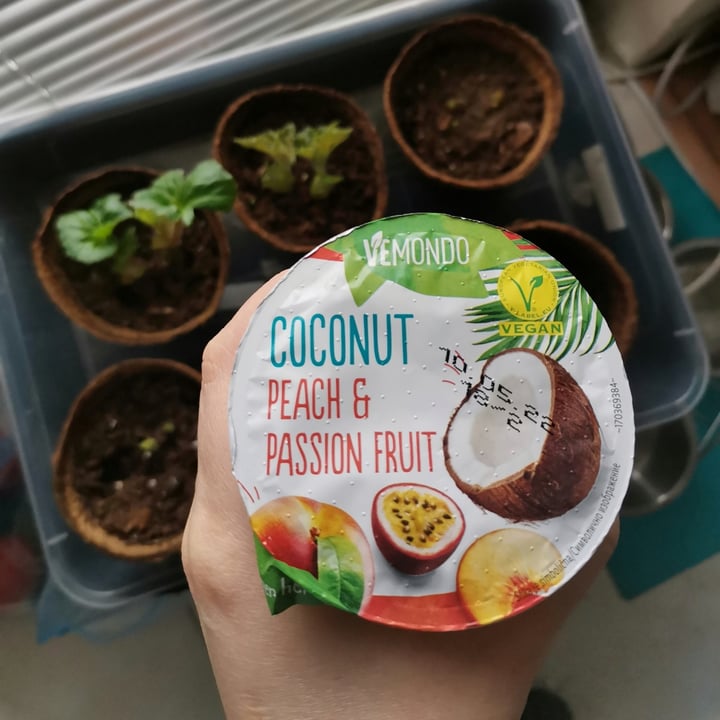 photo of Vemondo Coconut dessert Peach And Passion Fruit shared by @valibabali on  27 Apr 2022 - review