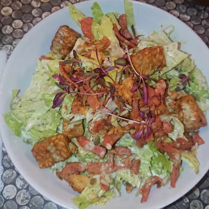 photo of Love Shack Vegan Ceasar Salad shared by @sunmoony on  28 Nov 2022 - review