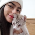 juliiapardo @juliiapardo profile image