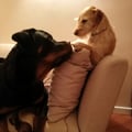 nartima @nartima profile image