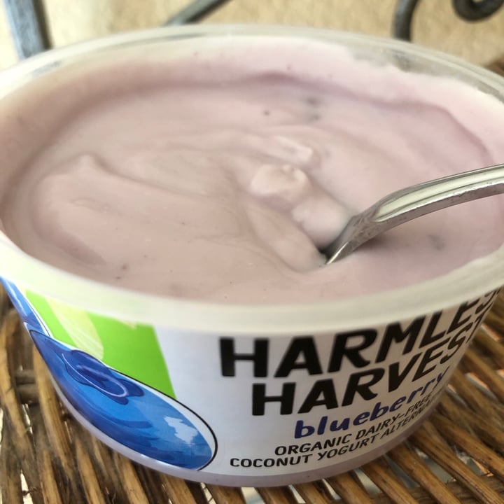 photo of Harmless Harvest Blueberry coconut yoghurt shared by @veggietable on  27 Feb 2021 - review