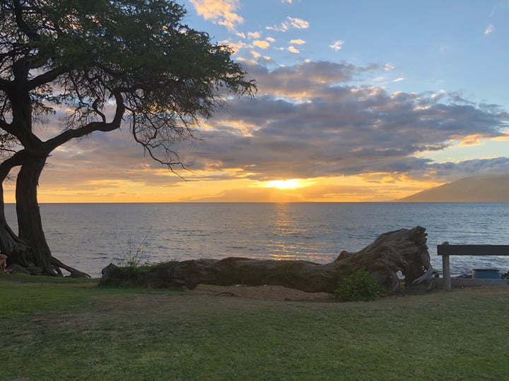 photo of Earth Aloha Eats Teriyaki Bowl shared by @raatz on  12 May 2019 - review
