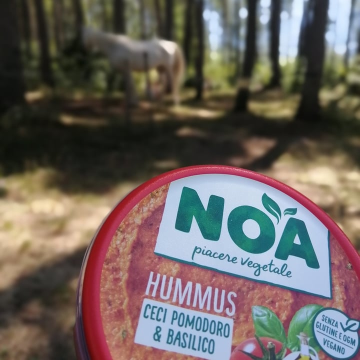 photo of Noa Hummus Ceci E Pomodoro shared by @luigimiracolato on  03 Aug 2022 - review