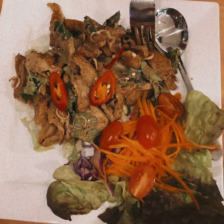 photo of Healthy Thai Vegan & Vegetarian Cuisine Salad & Noodles shared by @veggiesam on  28 Jul 2020 - review
