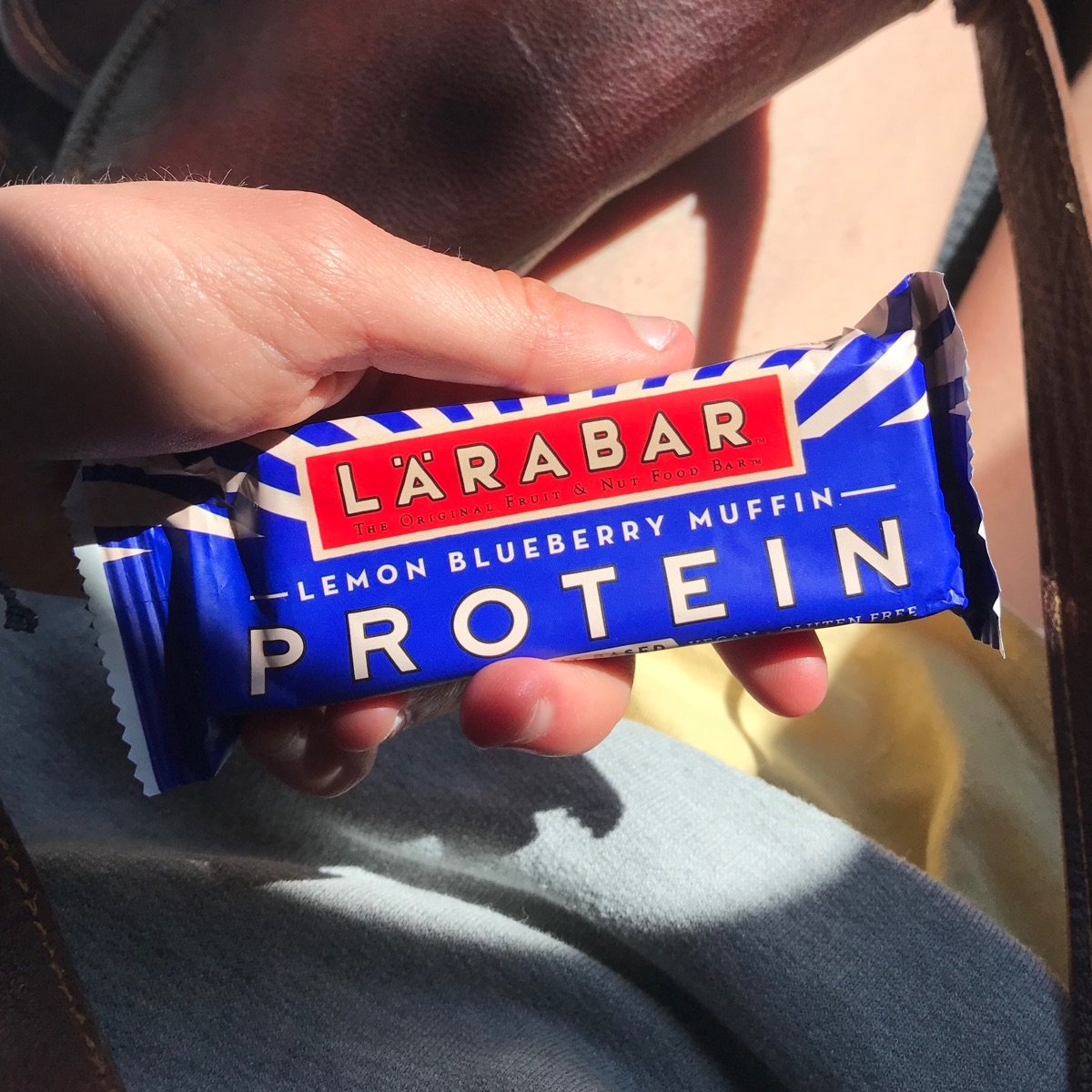 Larabar Blueberry Lemon Protein Reviews abillion