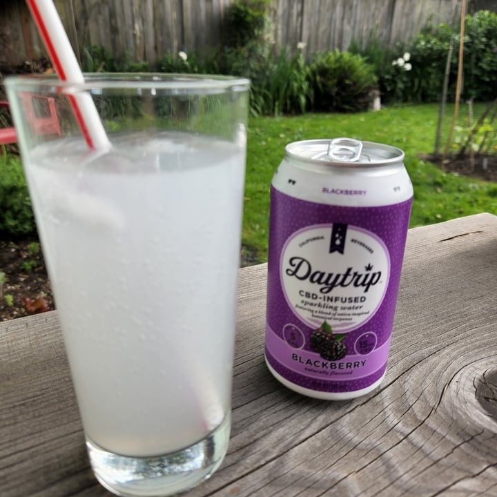 photo of Daytrip Blackberry CBD Infused Sparkling WATER shared by @angebe on  09 Jun 2022 - review