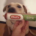 3nriqueta @3nriqueta profile image