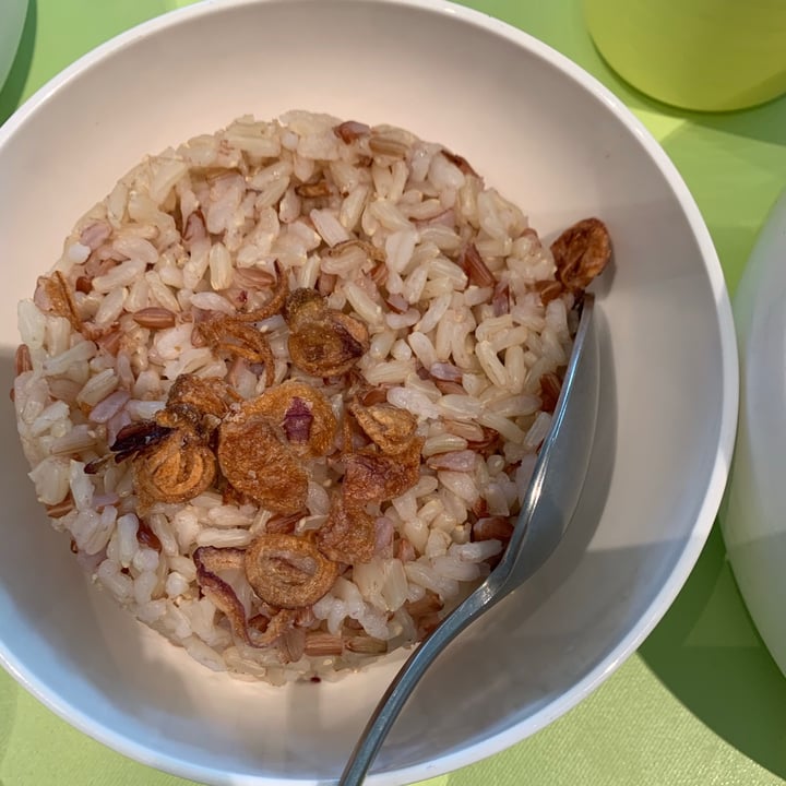 review photo of COMO Cuisine Young jackfruit curry shared by @muni on 08 Aug 2020 - review