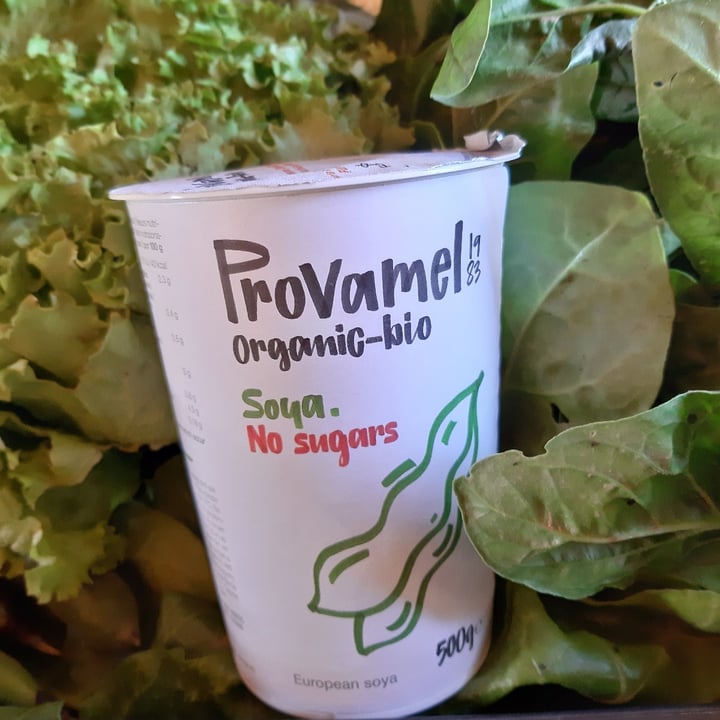 photo of Provamel Yogurt di soia senza zucchero shared by @fagiolidisoia on  14 May 2021 - review