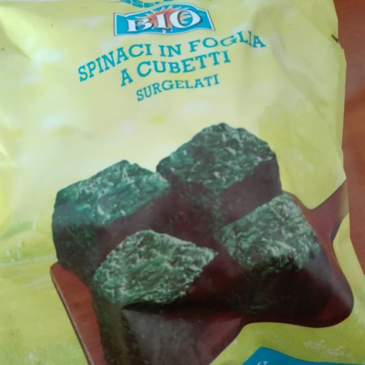 photo of Esselunga Bio Spinaci a cubetti shared by @clpp28 on  13 May 2021 - review
