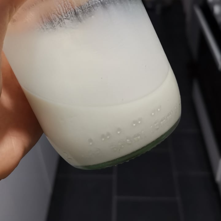 photo of Oato Oat Milk shared by @annamango on  29 Jan 2021 - review