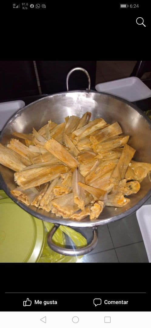 Foto do prato “Tamales Veganos”