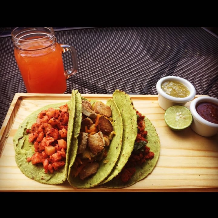 photo of Taco Green Tacos shared by @luxemborg on  27 Dec 2019 - review