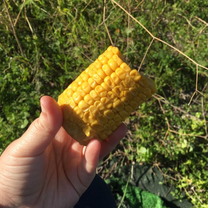 review photo of Huercasa Mais Dolce Biologico shared by @martinacento on 29 Jun 2022 - review