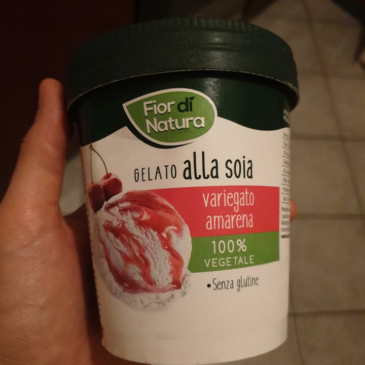 photo of Fior di Natura Gelato Alla Soia Variegato Amarena shared by @carlotta11 on  20 Jun 2022 - review