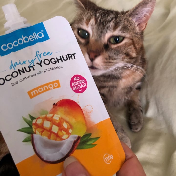 photo of Cocobella Cocobella dairy free coconut yogurt-Mango shared by @ronirios on  30 Nov 2020 - review