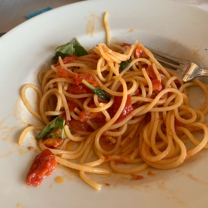 photo of Ristorante Bar da Coco' spaghetti pomodoro e basilico shared by @gataccioo on  14 Aug 2022 - review