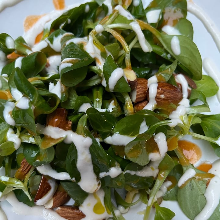 photo of Acino - Bar a Vino insalata di lattughino e noci shared by @shoutucher on  03 Jun 2022 - review