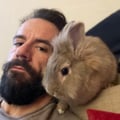 erikfux @erikfux profile image