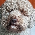 charlie98 @charlie98 profile image