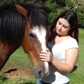 karinasanches @karinasanches profile image
